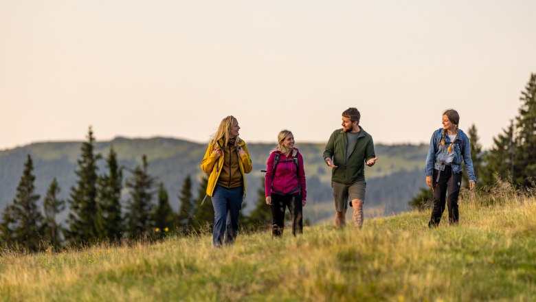 Gemeinsame Wanderung auf den Schwaigen, © Wiener Alpen, Kremsl