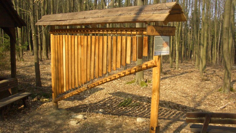 Wooden xylophone, © Naturpark Geras