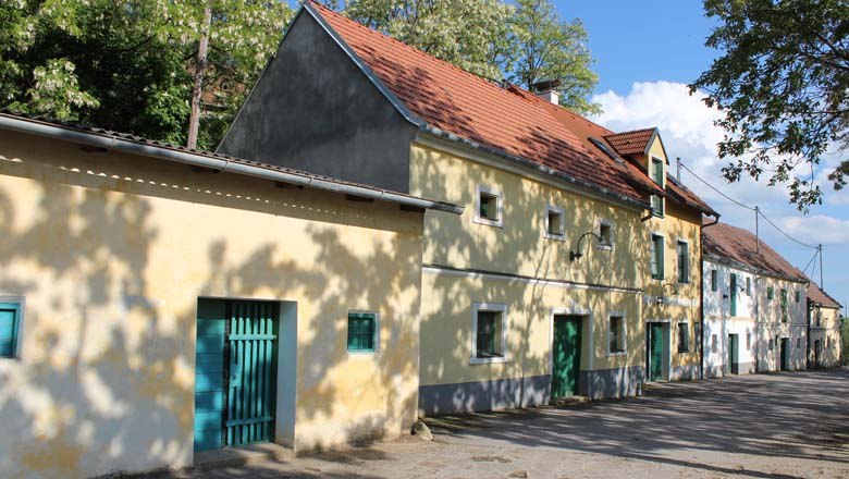 Kellergasse Altlichtenwarth, © Weinviertel Tourismus