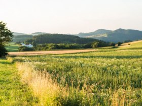 Beistein bei Wiesmath, © Wiener Alpen in Niederösterreich