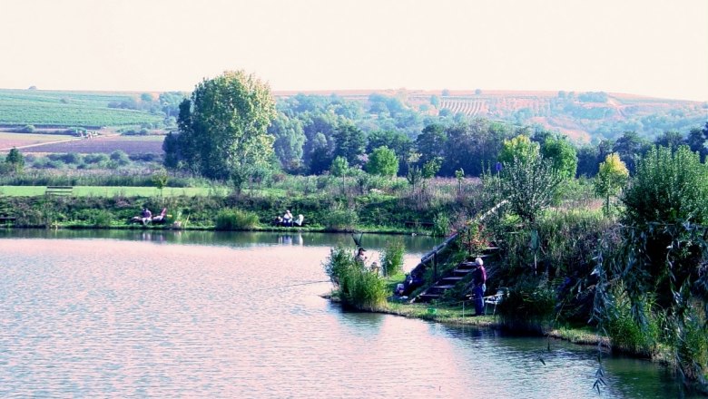 Ruhiger Fischerteich bei Unterretzbach, © Gemeinde Retzbach