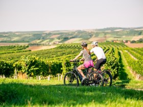 Unterwegs am Weinradweg Sylvaner, © POV / Robert Herbst