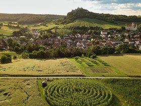 Weingartenlabyrinth Falkenstein, © Michael Reidinger