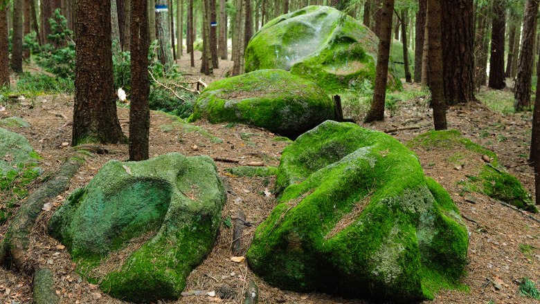 Platz des Skorpions in Kautzen, © Gerhard Wanko