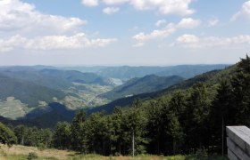 Aussicht im Naturpark Jauerling, © Naturpark Jauerling Birgit H.