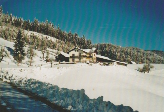 Bauernhof Seppenbauer im Winter, © Seppenbauer