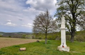 Weingarten-Runde, © Gemeinde Rußbach