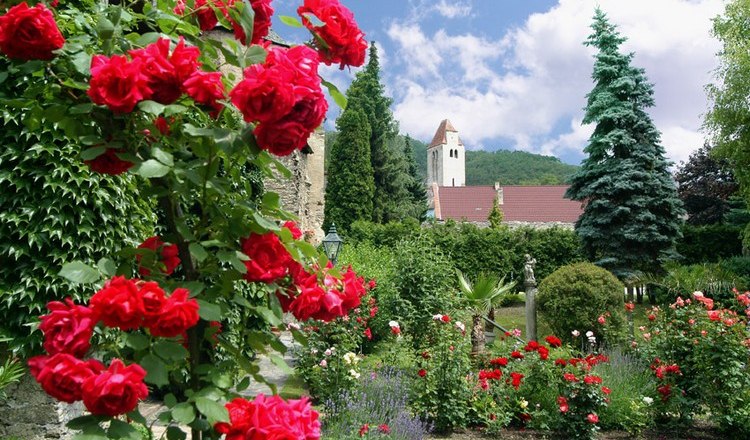 Klosgergarten, © Hotel Richard Löwenherz