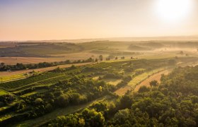 Fels am Wagram „Tut gut!“- Wanderweg Route 1, © Donau Niederösterreich - Kamptal-Wagram-Tullner Donauraum