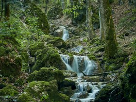 Steinwandklamm, © Wienerwald Tourismus GmbH / Andreas Hofer