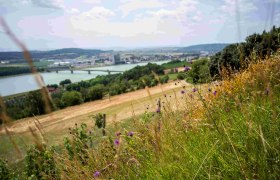 Ausblick vom Rindfleischberg, © Robert Herbst