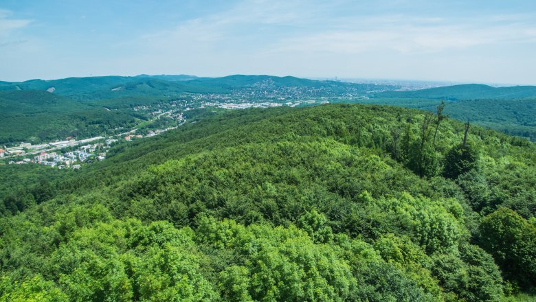 Aussicht von der Rudolfswarte, © Daniel Ritt