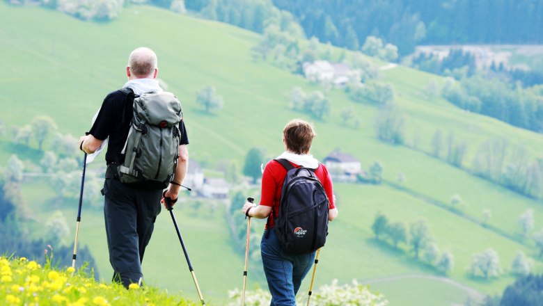 Wanderer auf Blumenwiese, © weinfranz.at