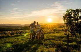 Radfahren im Kamptal, © POV Robert Herbst