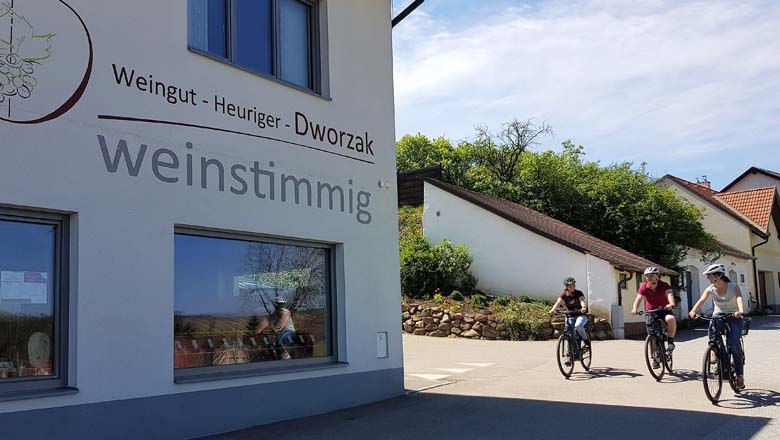 E-Bike Verleih Weinstimmig, © Weinstimmig Dworzak