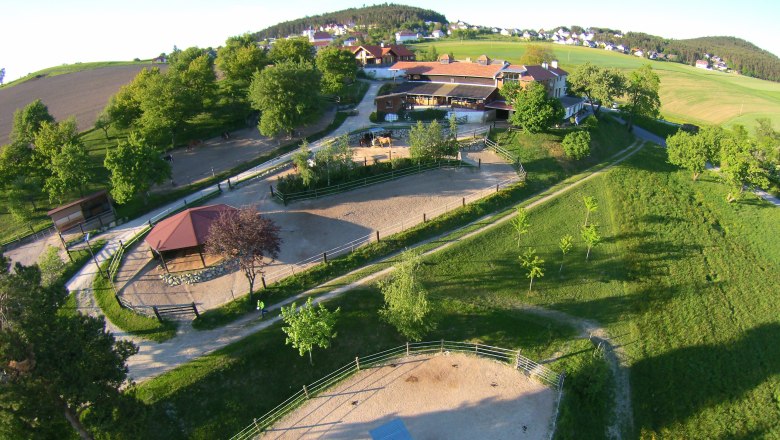 Mostheuriger Am Rosenhof - inmitten der 1000 Hügel, © Am Rosenhof - Familie Harnisch