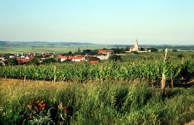 hoeflein_vom_hohen_weg_aus.jpg, © Gemeinde Höflein