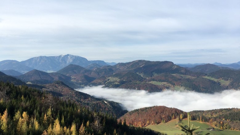 Blick ins Nebelmeer, © Naturpark Hohe Wand