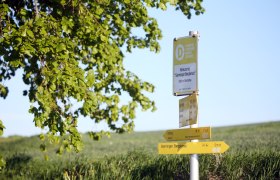 Wegweiser zum Sierninger Bergkreuz, © Weinfranz