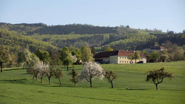 Fotopunkt Vierkanterblick, © schwarz-koenig.at