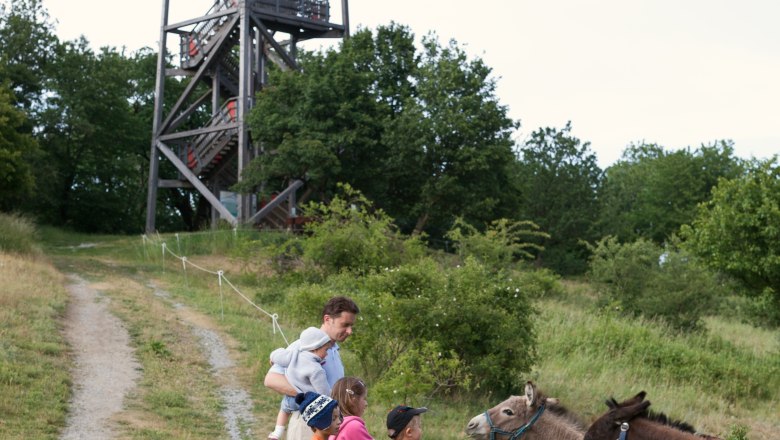 Ausichtsturm, © Gemeinde Berg