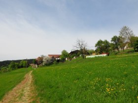 Blick nach Weinling, © Gottfried Grossinger