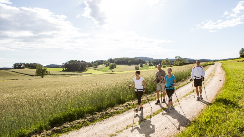 Bewegung, © Gesundheitshotel Klosterberg GmbH