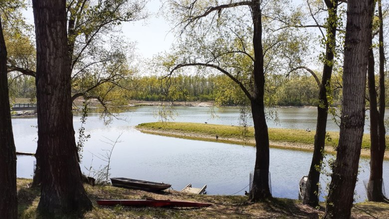 Donaualtarm Altenwörth, © Verena Schnatter