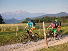 Piestingtalradweg, © Wiener Alpen in Niederösterreich