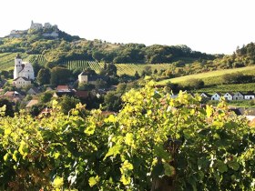 Falkenstein, Blick auf die Burgruine, © Schüller