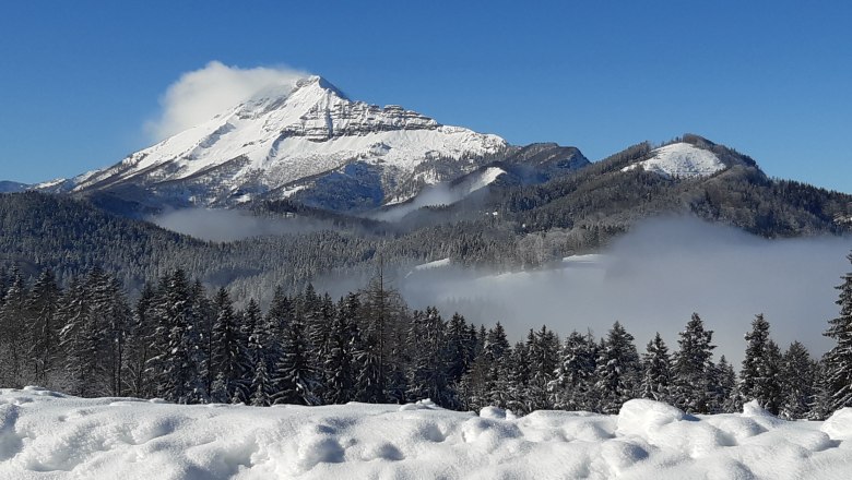 Winter am Höchbauernhof, © Höchbauernhof