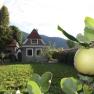 Gartenansicht im Bioweingut Schmidl, © Weingut Schmidl