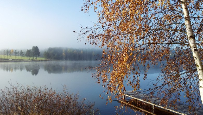 frauenwieserteich-c-broederbauer-qalter4, © Ing. Walter Bröderbauer