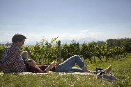 Picknick im Weingarten, © Wiener Alpen/Lierzer