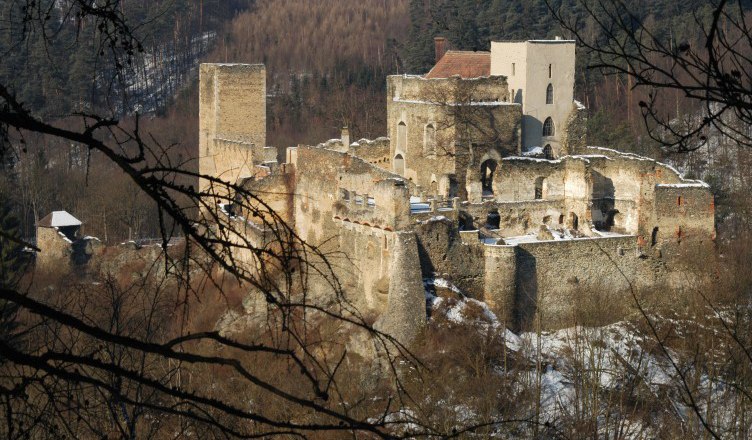 Ruine Kaja_Bildrechte_P.Laz, © P. Lazarek