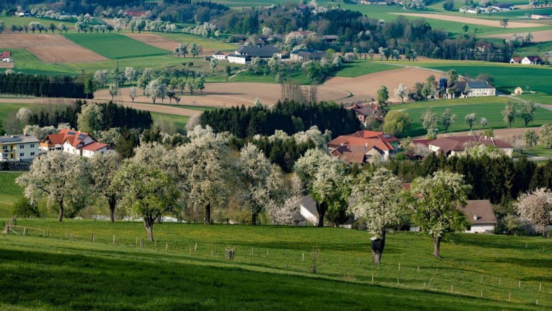 Fotopunkt Karl Lammerhuber Blick Südosten, © schwarz-koenig.at