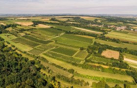 Grossweikersdorf, © Donau Niederösterreich - Kamptal-Wagram-Tullner Donauraum