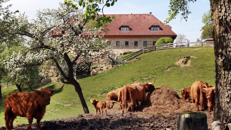 Dorferhof, © weinfranz.at