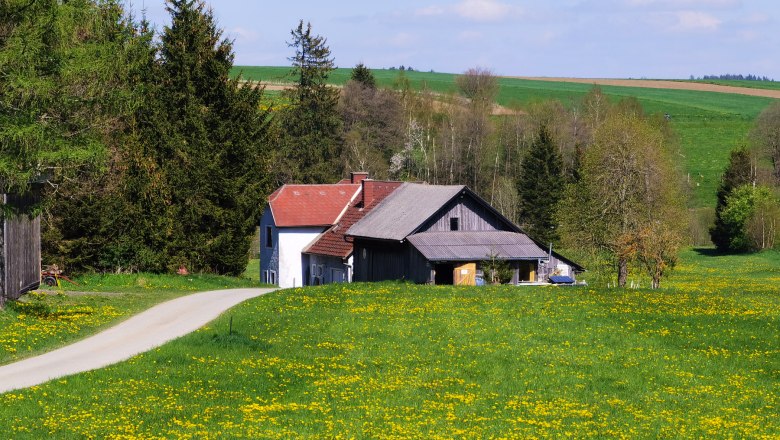 Das Landhaus auf der Alm, © Thomas Starkl