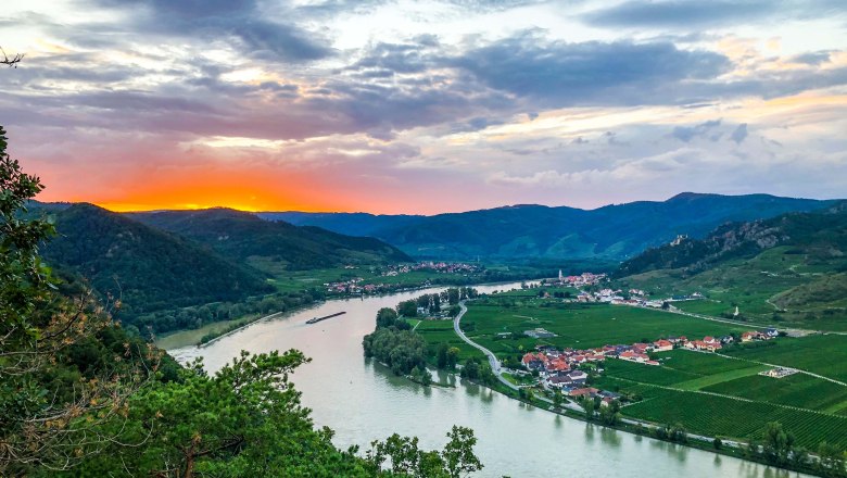 Ausblick von der Ferdinand-Warte, © Donau Niederösterreich / Julia Schild