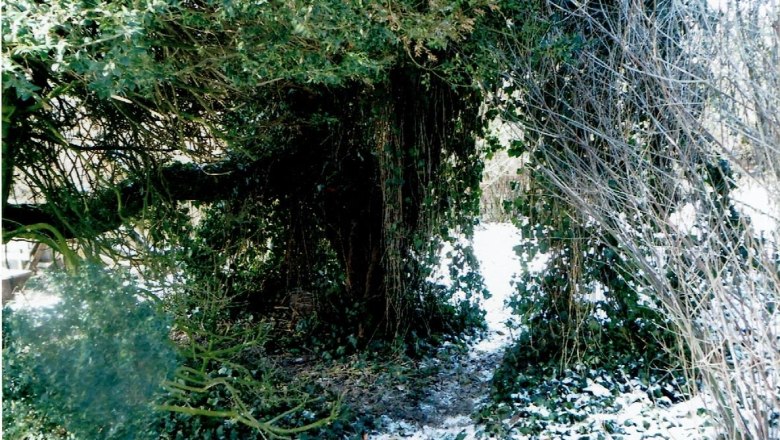 Auch im Winter zeigt sich der Garten verwunschen, © Margit Baar