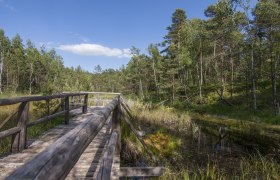 Naturpark Hochmoor Schrems, © UnterWasserReich, Sonja Eder