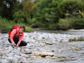 Rast an der Pielach, © weinfranz.at