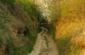 Hohlweg Wagram, © Donau Niederösterreich - Kamptal-Wagram-Tullner Donauraum