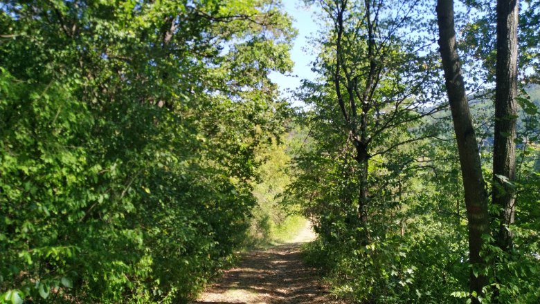 Am Weg zum Heimliches Gericht, © Donau Nö Tourismus