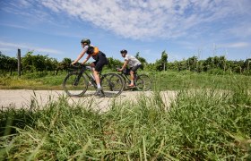 Graveltour Langenlois - Gföhl, © © Niederösterreich Werbung/ Stefan Mayerhofer