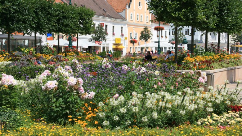 td-hauptplatz-tulln-c-stadtgemeinde-tulln_1, © Blumen-Hauptplatz-c-Stadtgemeinde-Tulln